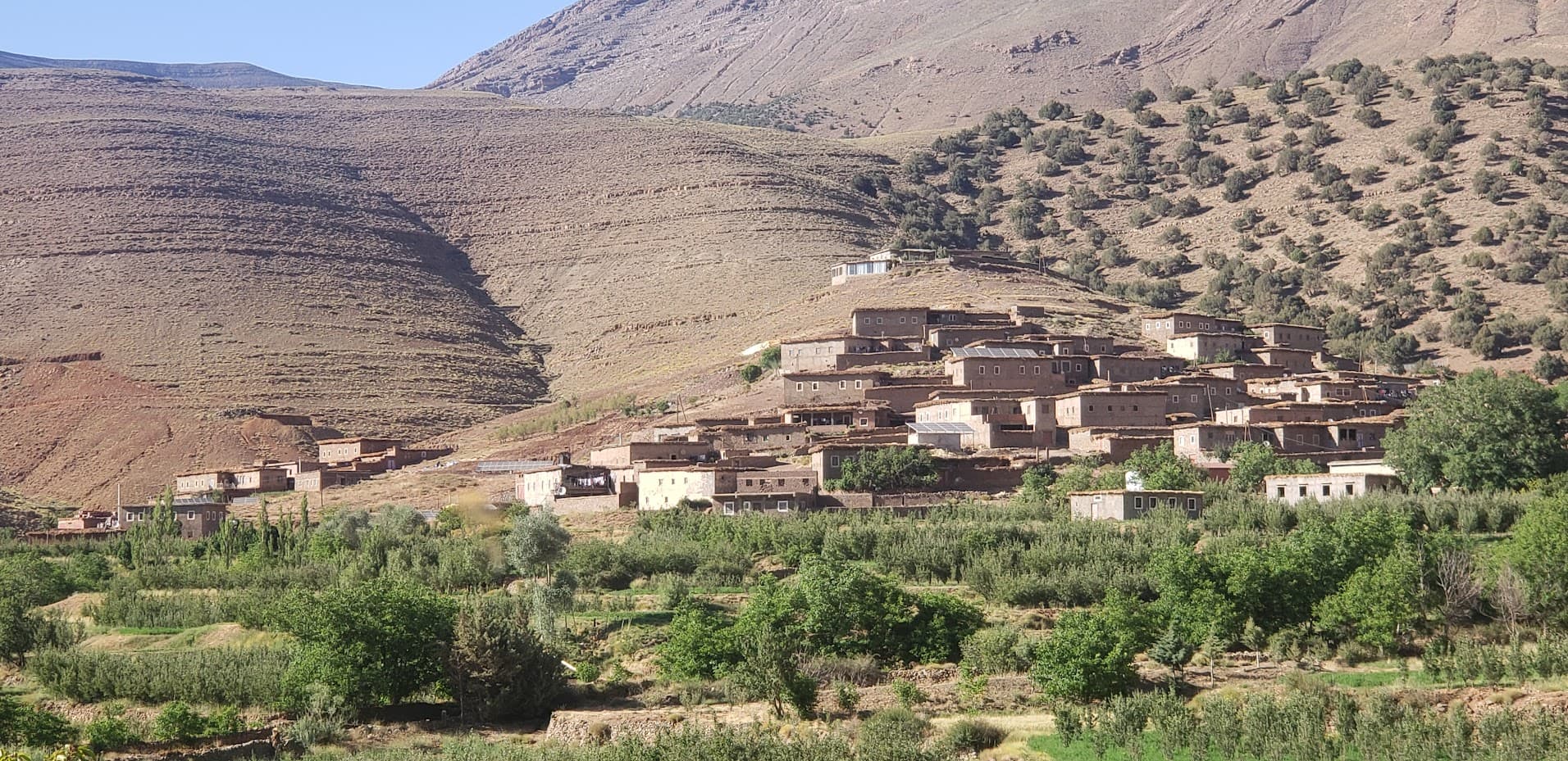 Village berbère à flanc de montagne avec oliveraie